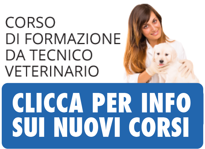 Formazione Tecnico Veterinario vet tech school